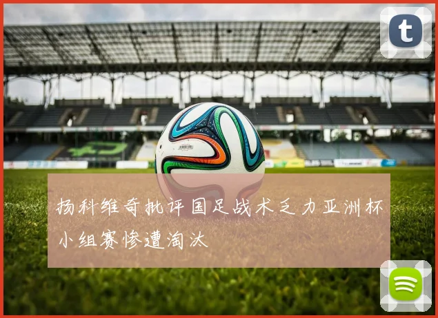 扬科维奇批评国足战术乏力亚洲杯小组赛惨遭淘汰